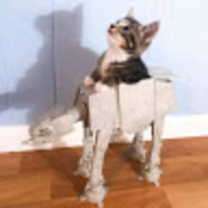 Meet your Posher, Corinne